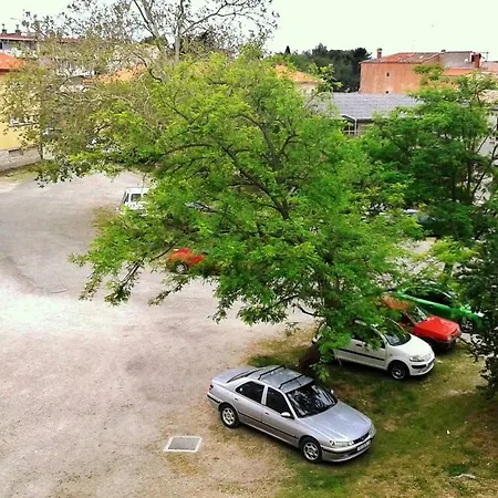 Mirko *